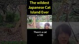 The Wildest Japanese Cat Island Ever