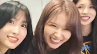 Rốt cuộc là ai nói misamo là một kẻ câm dẫn theo hai đứa ngốc vậy hahaha