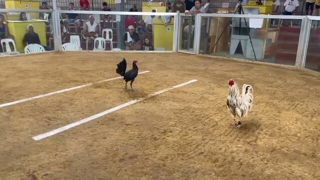 Win