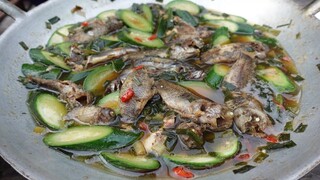 Xuống cánh đồng Ba Tri câu cá rô. CÁ RÔ ĐỒNG KHO MƯỚP - Bin Đen Miền Tây # 414