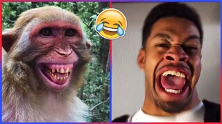 Try Not To Laugh Challenge! 😹😹😹 | If You Laugh You Lose