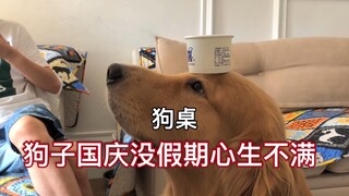 狗子在家做小工