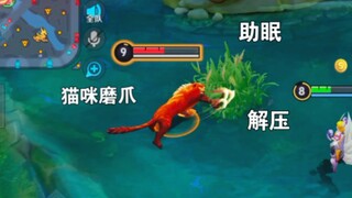 小猫为你提供了睡前ASMR，快说谢谢小猫