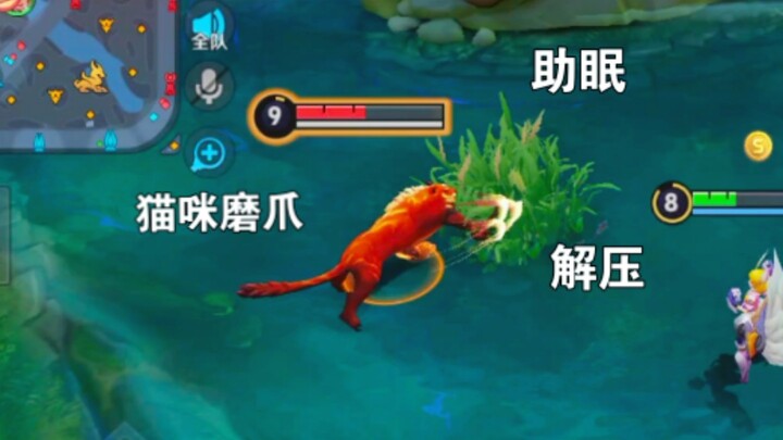 小猫为你提供了睡前ASMR，快说谢谢小猫