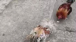 natanggal yung gloves sa lakas ng palo