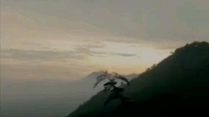 alam Indonesia