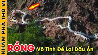 🔥 Phát Hiện 7 Dấu Tích Bí Ẩn Chứng Minh Rồng Có Thật Khiến Cộng Đồng Mạng Việt Nam Chao Đảo| KPTV