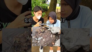 ada yang tau ular nya dimana ??