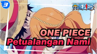 ONE PIECE | Petualangan Nami: Aku Hanya Ingin Mencuri Uangmu, Tapi Kau Mencuri Hatiku_3