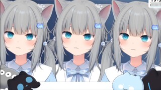 【Amagi Nana】Tiga kucing bersiul!
