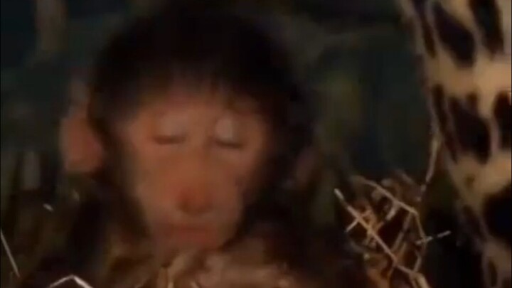 الأخ يقبل مصيره: