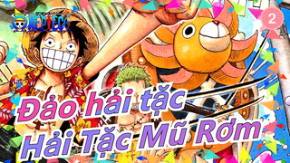 [Đảo hải tặc/AMV] Hồi tưởng quá khứ của Hải Tặc Mũ Rơm_2