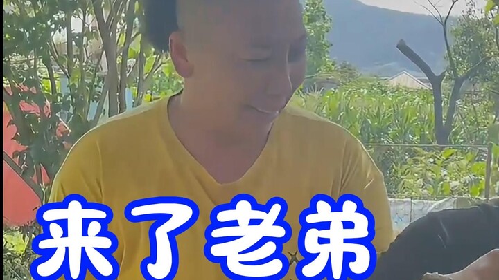 Everyone was wondering who had arrived—Old Kui actually took out his biggest rooster to stew.