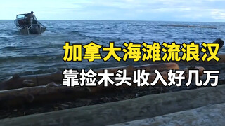 加拿大的海滩木头收集工，靠捡木头收入好几万，时间自由还不用996