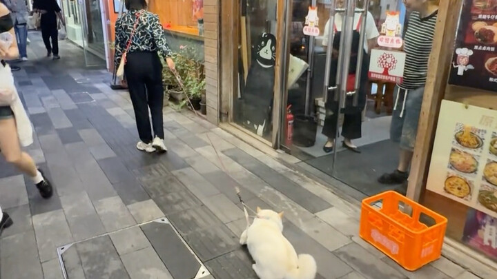 Anak anjing menginginkannya, anak anjing pun mendapatkannya!