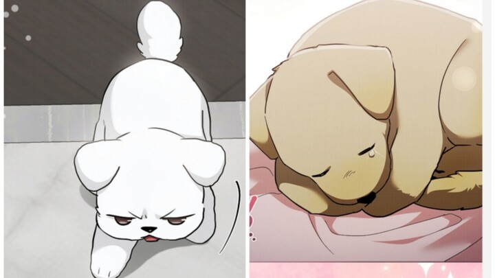 Puppy Story 2 ลูกสุนัขดูแลลูกสุนัข! น่ารักจริงๆ