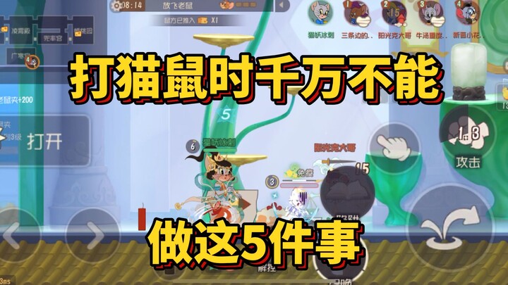打猫鼠时千万不能做这5件事😈😈