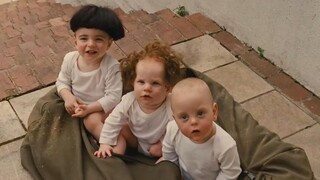 [Laopang] 3 baby boys were thrown at the door, the orphanage director kindly took them in, but when 
