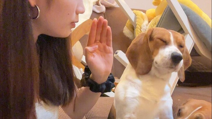 อย่าบังคับให้ฉันตบหน้าคุณตอนที่คุณมีความสุขที่สุดเลย