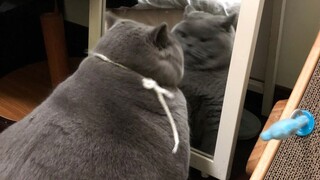 Akui saja, kamu juga terpesona dengan Kakak!