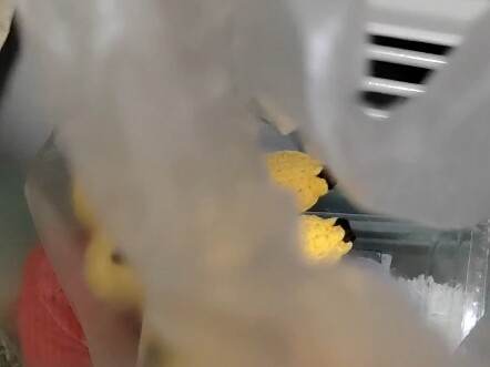 Ayahku: Ini barang-barang kecil yang dibuatkan oleh tante muda buat kamu (masing-masing berupa: Pak 