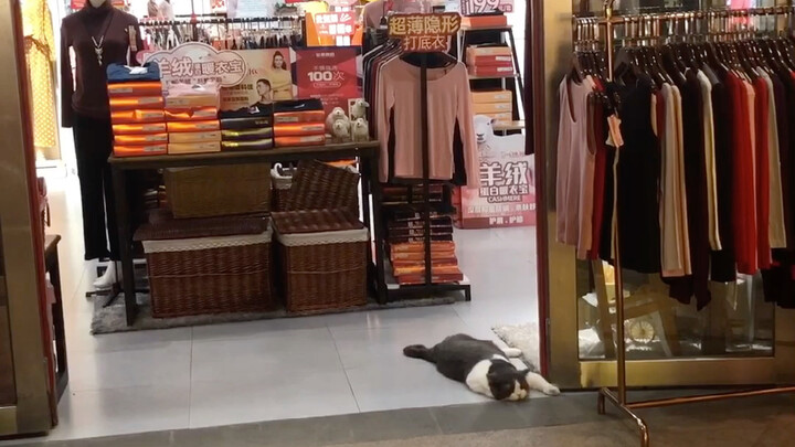 Jika toko saya bangkrut, dia harus bertanggung jawab utamanya!