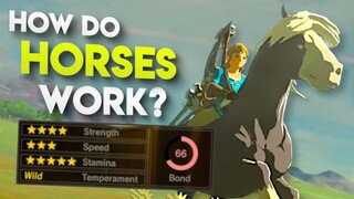 All HIDDEN Horse Stats in Breath of the Wild EXPLAINED!!