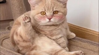 每日一遍，烦恼不见