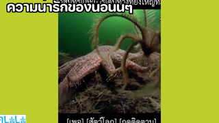 ความน่ารักของน้อนนๆ 😆