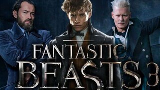 Fantastic Beasts and Where to Find Them: Dumbledore's Mystery Official Trailer