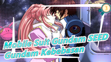 [Mobile Suit Gundam SEED] Gundam Kebebasan Yang Terkuat!_3
