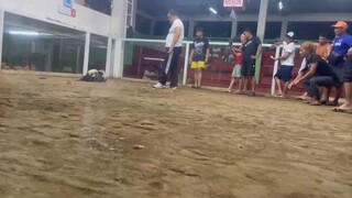 One shot one kill ba naman 2 hits ulutan Win 1-1🙌🙌 February 23, 2025