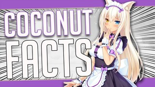 5 Facts About Coconut - Nekopara