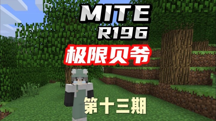 贝爷R196极限生存第十三期：附魔了全套的艾德曼装备，接下来开始为打龙做最终的准备，本系列即将完结，下个系列想看什么，可以直接打在评论区，最后还差末影之眼。