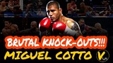 10 Miguel Cotto Greatest Knockouts