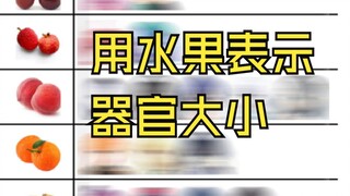 如果用水果表示器官大小