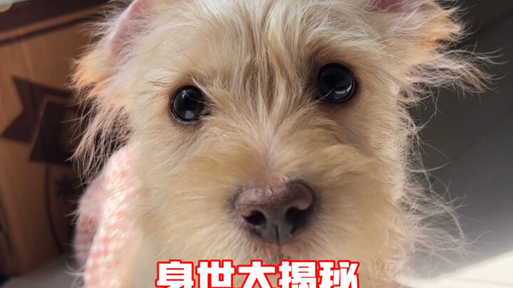 Hasil tes genetik Putri Cacat Telah Keluar, Tak Disangka Ternyata…