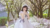 Niaopujiang | Sakura Cherry Blossoms Want to See You❀ Original Choreography