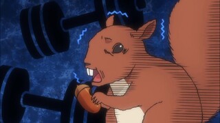 Ketika lu melakukan sesuatu yg diluar nalar sampai tupai terkaget melihatnya😱😵 || jedag jedug anime♪