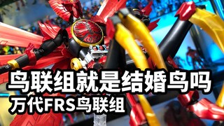 【模玩浅谈：FRS假面骑士欧兹鸟联组】中规中矩