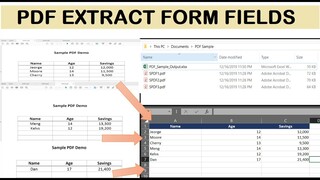 Automation Anywhere PDF Extract Form Fields | Part 2