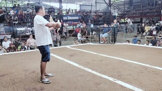HENNIE BULIK BABALIK  (05-18-25) 2hits Champion