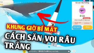 PLAY TOGETHER | CÂU CÁ VOI RÂU TRẮNG DỄ DÀNG KHI BẠN XEM BÍ QUYẾT NÀY