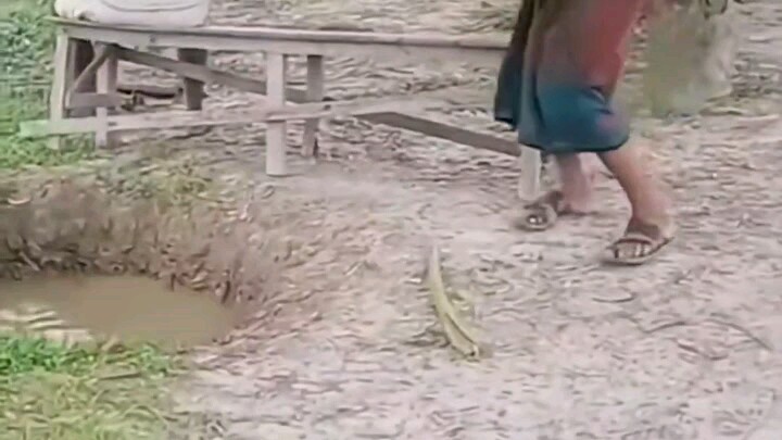 สอนใส่ชุดพราหมณ์แบบเดี่ยวและคู่ ดูจบแล้วรู้สึกปวดหลังเลย 🥺🥺