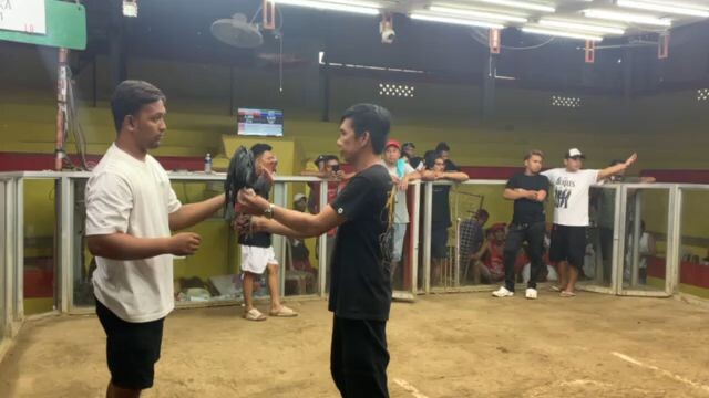 Sariling manok sariling tarii 🐓👌