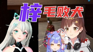 梓 毛 败 犬