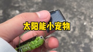 Real electronic pet