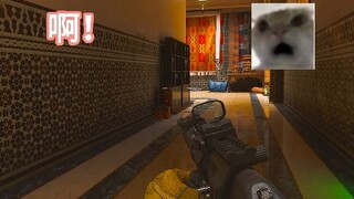 【哈基蟹三角洲】更新啦，赶紧来围观吧！