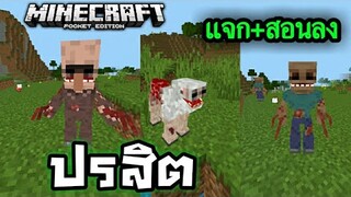 แจก+รีวิว!!! ปรสิตเหมือนในคอม โหลดง่ายๆ | Minecraft PE