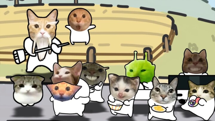 Trường tiểu học Kimi: Meo meo meo